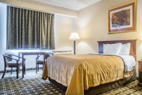 Quality Inn & Suites Palm Island Indoor Waterpark image 7